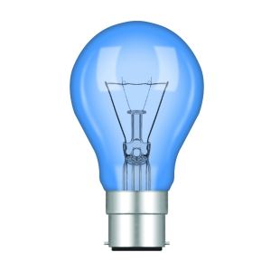 Standard GLS Daylight B22 40W Incandescent/T