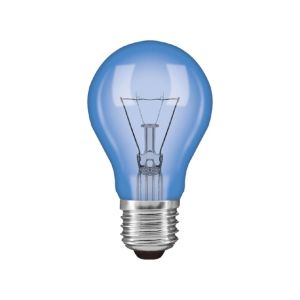 Standard GLS Daylight E27 40W Incandescent/T